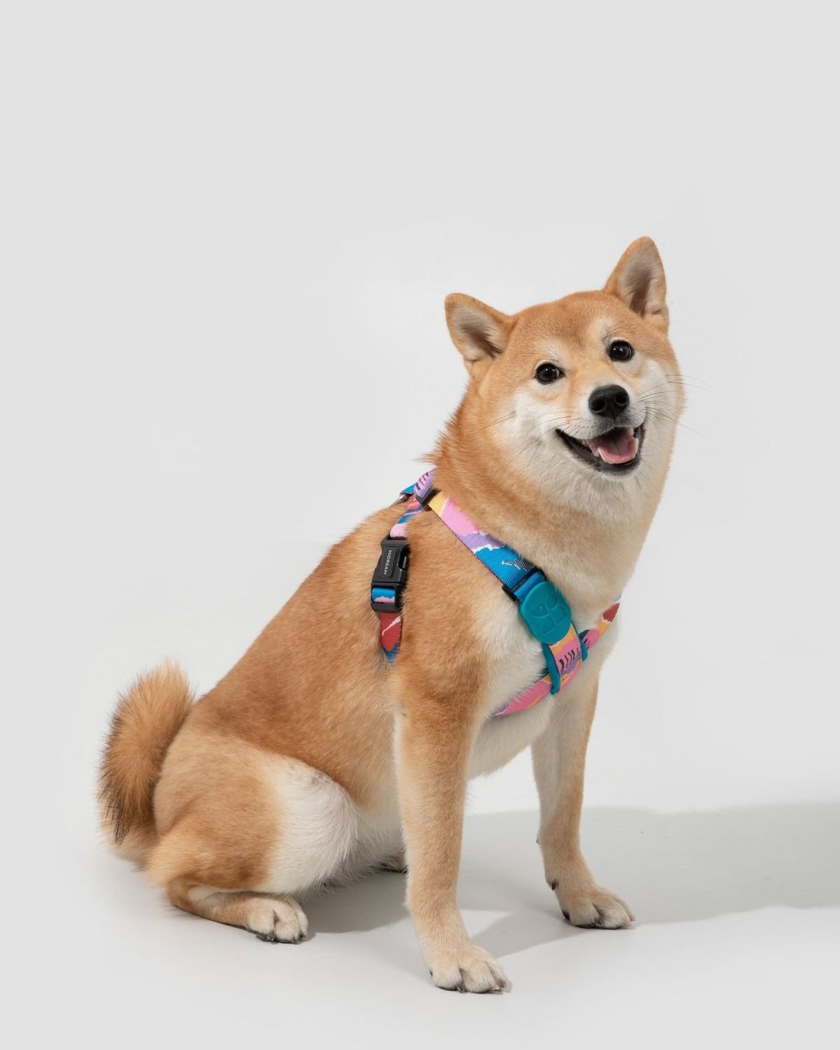 bb2e04ccfa230b33f3db962ccd0c1abc